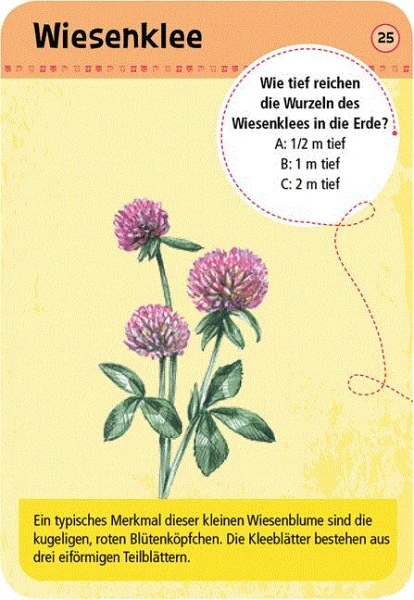 Moses Expedition Natur 50 Heimische Blumen 4 Moses Expedition Natur 50 Heimische Blumen – Bild 2