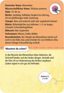 Moses Expedition Natur 50 Heimische Blumen 7 Moses Expedition Natur 50 Heimische Blumen -Kinderspielzeugladen 211 9717 b 600x600