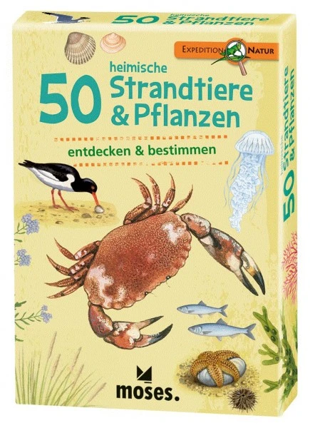Moses Expedition Natur 50 Heimische Strandtiere & Pflanzen 3 Moses Expedition Natur 50 Heimische Strandtiere & Pflanzen