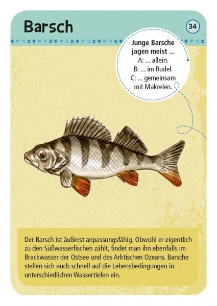 Moses Expedition Natur 50 Heimische Strandtiere & Pflanzen 4 Moses Expedition Natur 50 Heimische Strandtiere & Pflanzen – Bild 2