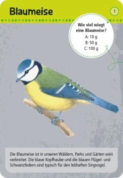 Moses Expedition Natur 50 Heimische Tiere In Stadt & Garten -Kinderspielzeugladen 211 9778 a 600x600