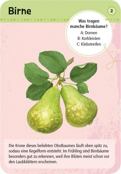 Moses Expedition Natur 50 Heimische Garten- & Feldpflanzen 4 Moses Expedition Natur 50 Heimische Garten- & Feldpflanzen – Bild 2