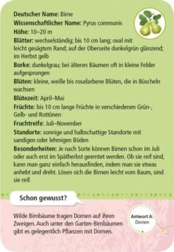 Moses Expedition Natur 50 Heimische Garten- & Feldpflanzen 7 Moses Expedition Natur 50 Heimische Garten- & Feldpflanzen -Kinderspielzeugladen 211 9779 b 600x600