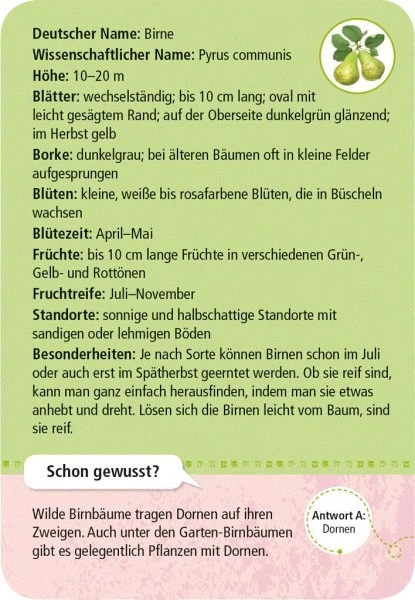 Moses Expedition Natur 50 Heimische Garten- & Feldpflanzen 5 Moses Expedition Natur 50 Heimische Garten- & Feldpflanzen – Bild 3